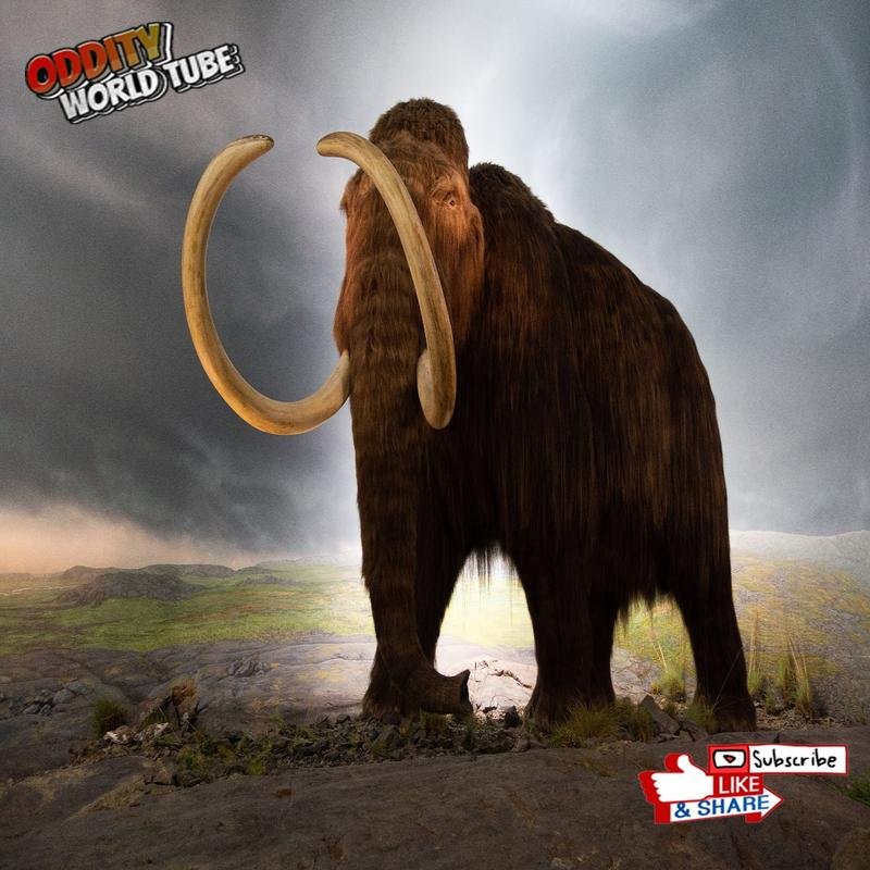 Woolly Mammoth Resurrection: Scientific and Ethical Considerations - Image 1