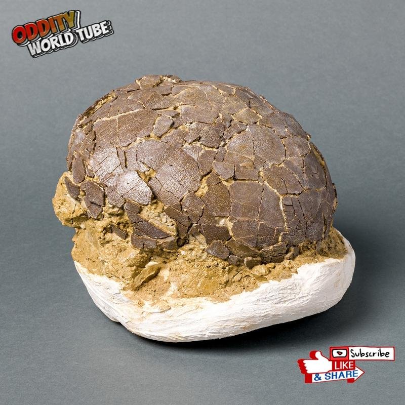 Discovery of a Giant Dinosaur Egg: Unveiling Prehistoric Secrets - Image 1