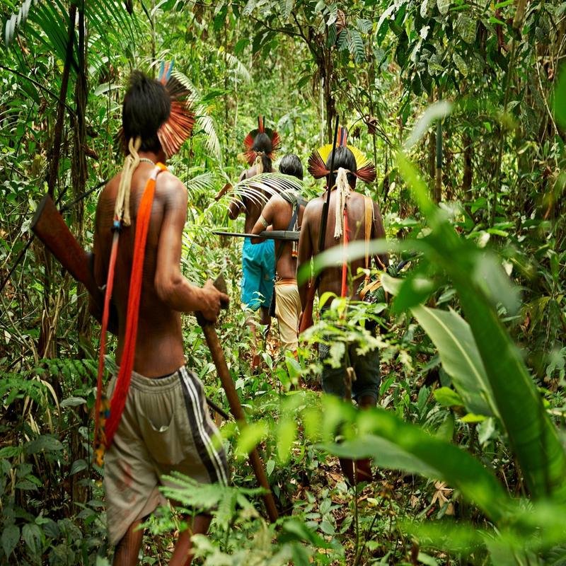 Uncontacted Tribes of the Amazon: Observations on Unusual Ritualistic Practices. - Image 1