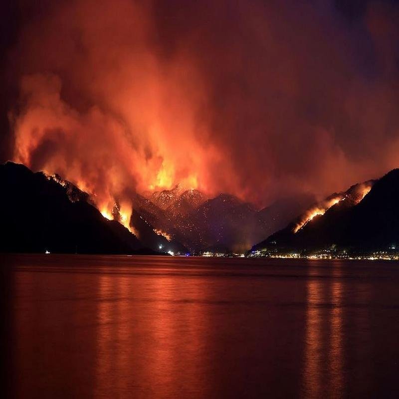 A Curious Phenomenon: Investigating the Predictability of Natural Disasters - Image 1