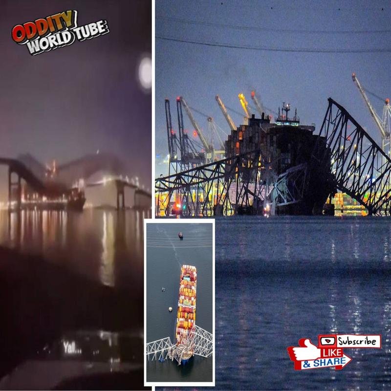 The Collapse of the Tacoma Narrows Bridge: A Scientific Analysis of the Disaster - Image 1