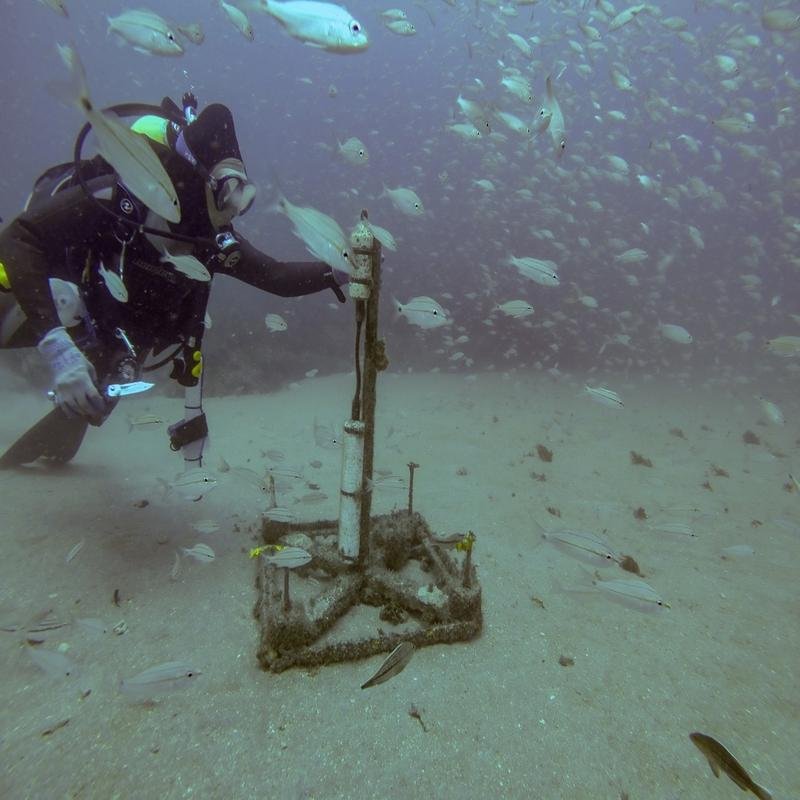 Recent scientific research has shed light on the origin of the ocean's ambient sound, known as the "bloop." - Image 1