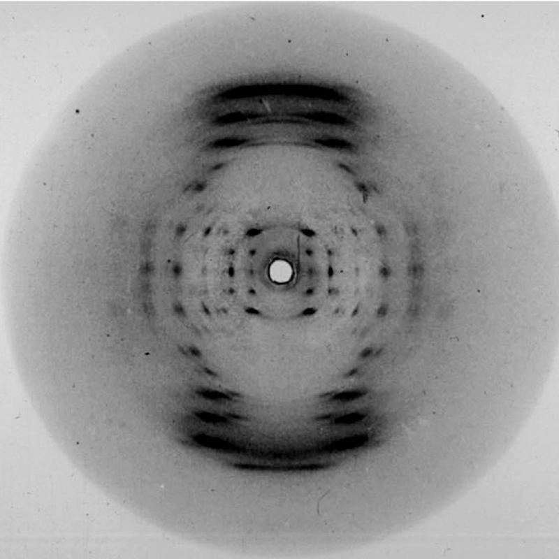Rosalind Franklin's pivotal discovery of DNA's structure. (Image of DNA)