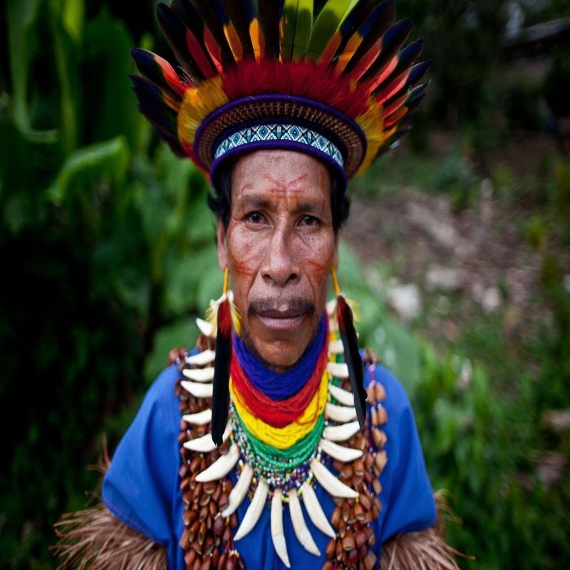 Uncontacted Tribes of the Amazon: Observations on Unusual Ritualistic Practices. - Image 2