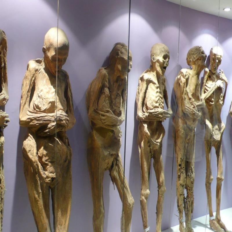 Medieval Cannibalism: A Reconsideration - Image 1