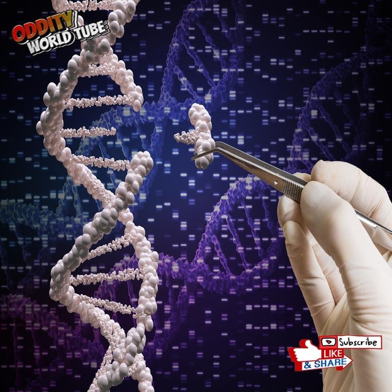 Could gene editing fundamentally alter the course of human history? Remarkable advancements are underway. - Image 2