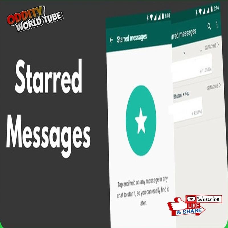 Investigating WhatsApp's Operational Practices: An Examination of Undisclosed Procedures - Image 2