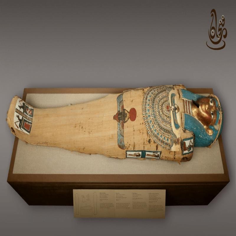 A Newly Discovered Mummy: A Remarkable Find - Image 2