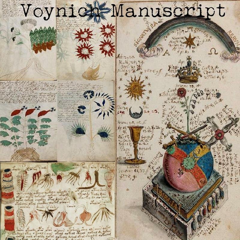 The Voynich Manuscript: A Study of the World's Most Enigmatic Text - Image 2
