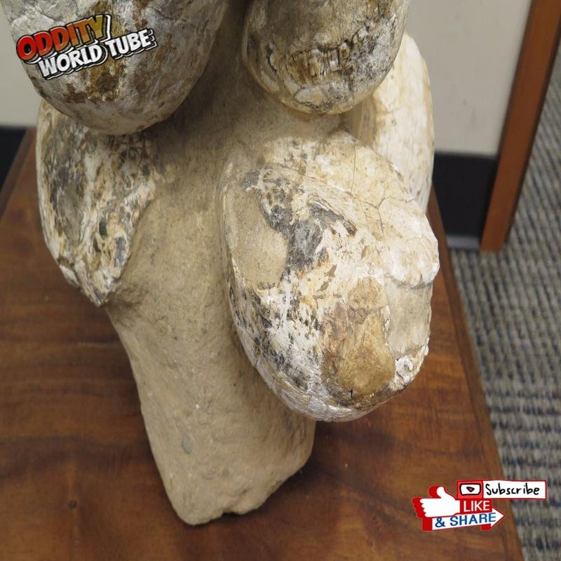 Discovery of a Giant Dinosaur Egg: Unveiling Prehistoric Secrets - Image 2