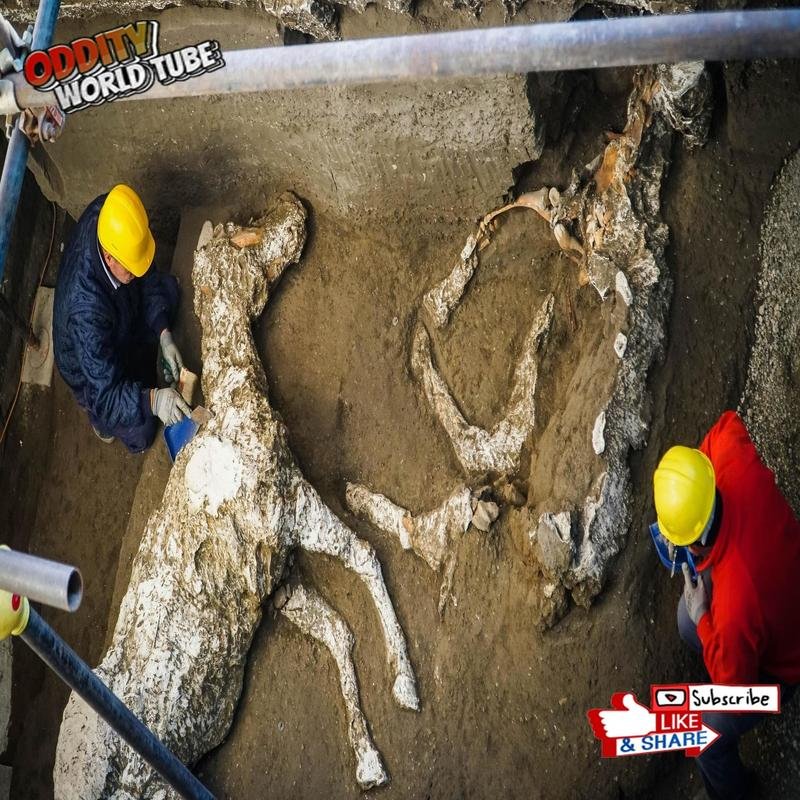 Pompeii: Unearthing New Discoveries and Revisiting Established Narratives - Image 3