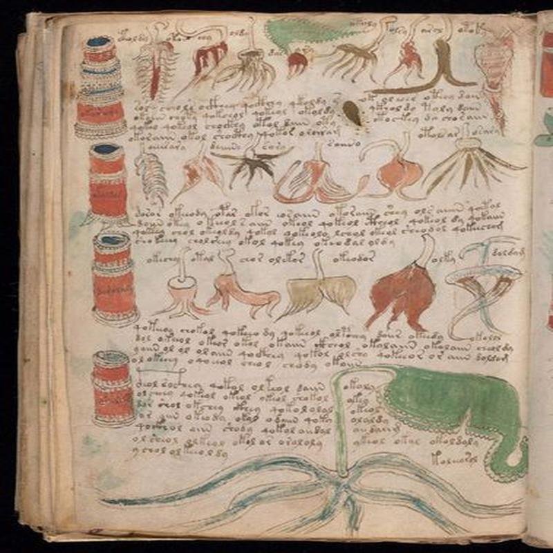 The Voynich Manuscript: A Study of the World's Most Enigmatic Text - Image 3