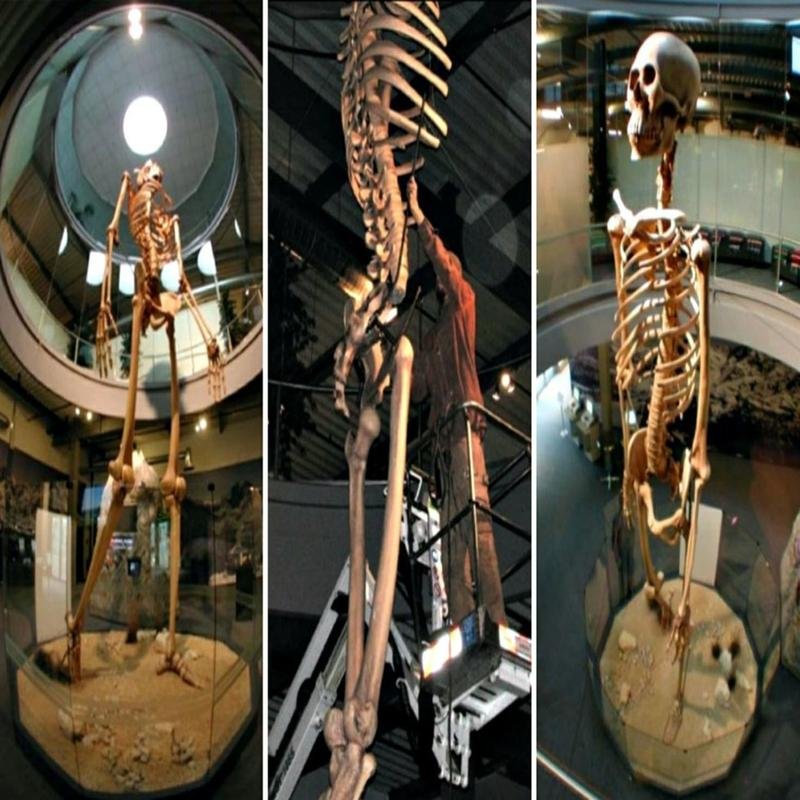 The Existence of Giants: A Re-evaluation of Historical and Archaeological Evidence. - Image 1