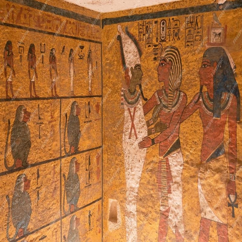 Egyptian Tombs: Investigating the Mysteries. - Image 3