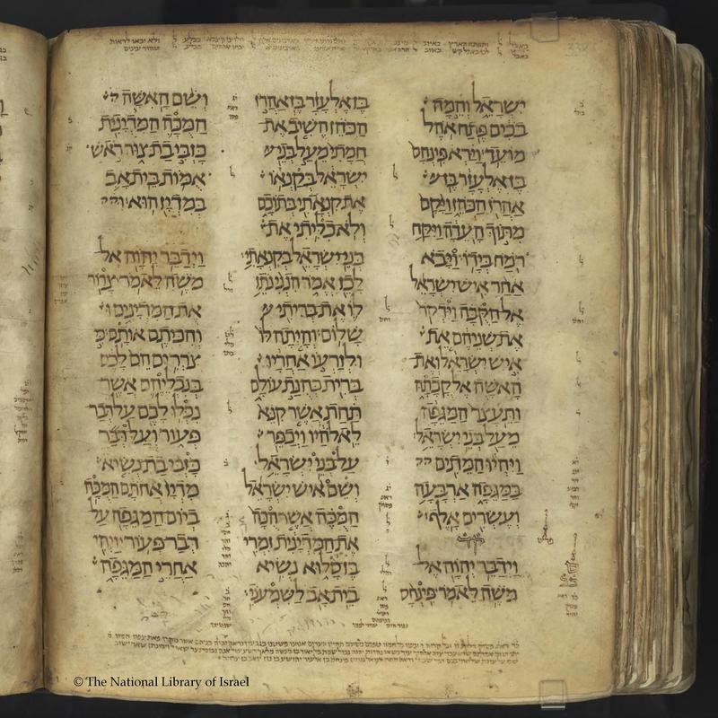 Phoenix Manuscripts: Unveiling Remarkable Secrets. - Image 1