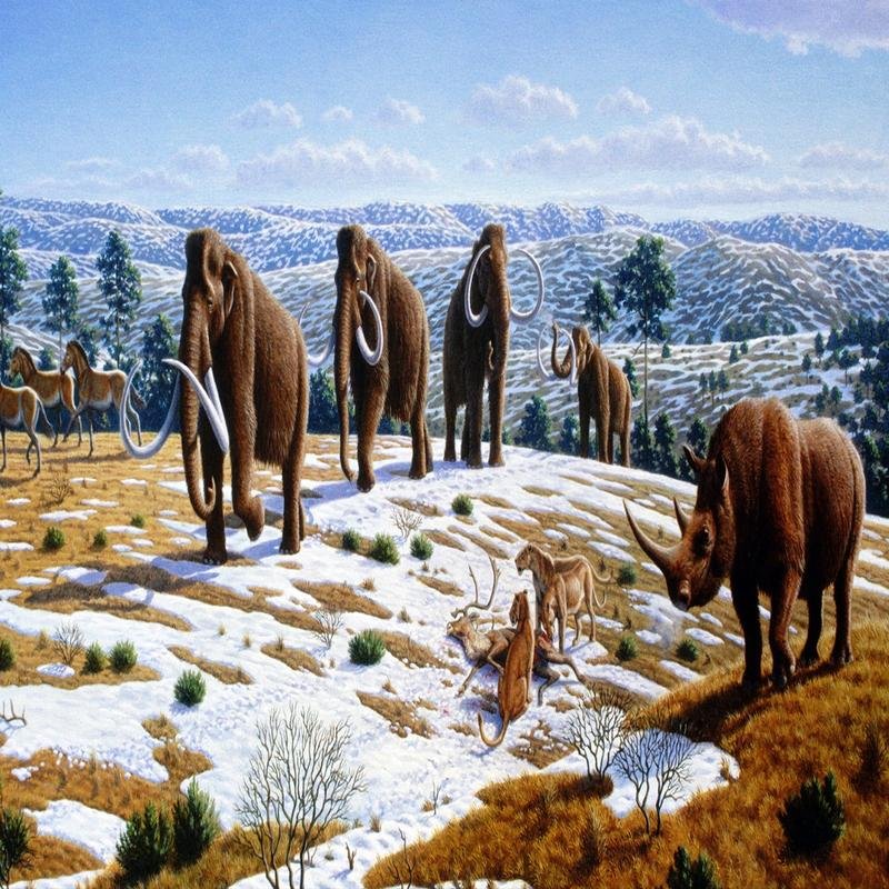 The Mammoth Extinction: New Discoveries from Permafrost. - Image 2