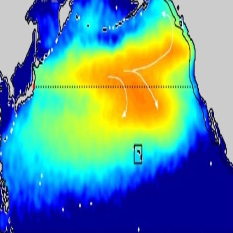 Analysis of the Fukushima Disaster: Unveiling Stark Realities and the Evacuation of Residents - Image 1