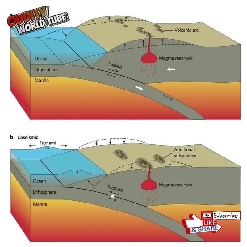 The 1835 Chilean Earthquake: A Transformative Experience for Darwin - Image 2