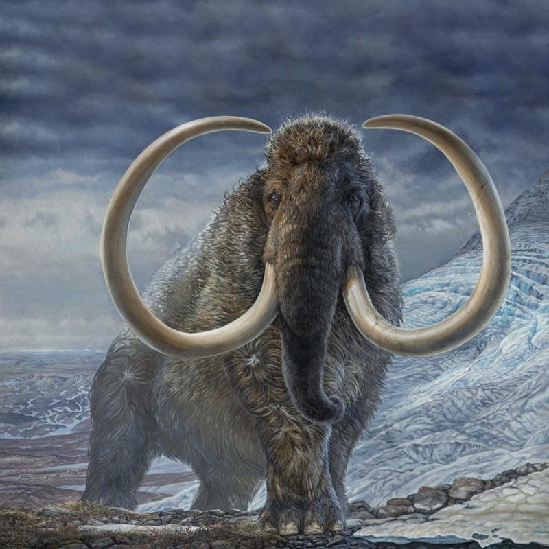 The Mammoth Extinction: New Discoveries from Permafrost. - Image 3