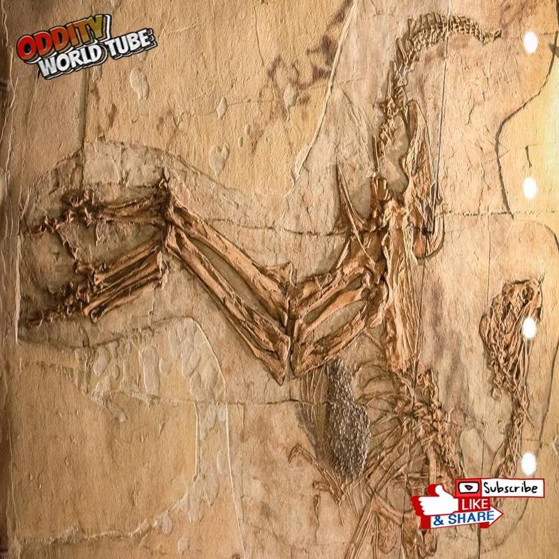 Evidence for the Existence of Large, Previously Unknown Dinosaurs: A Geological Investigation - Image 2