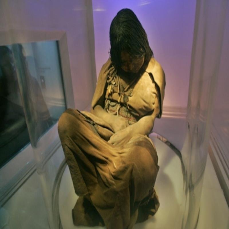 New Insights into Inca Civilization: Analysis of Inca Mummies Reveals Historical Secrets. - Image 3