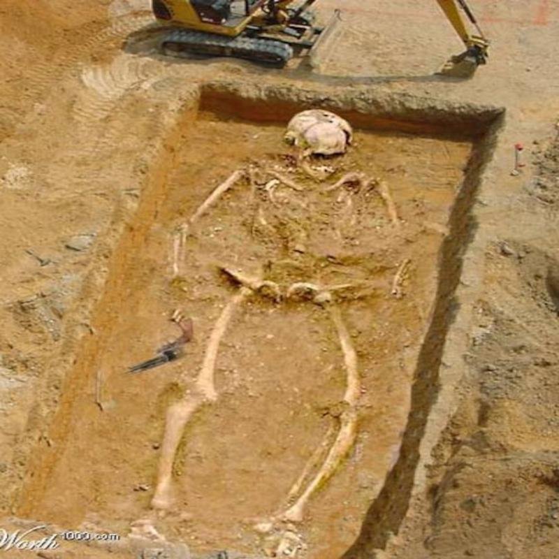 The Existence of Giants: A Re-evaluation of Historical and Archaeological Evidence. - Image 2