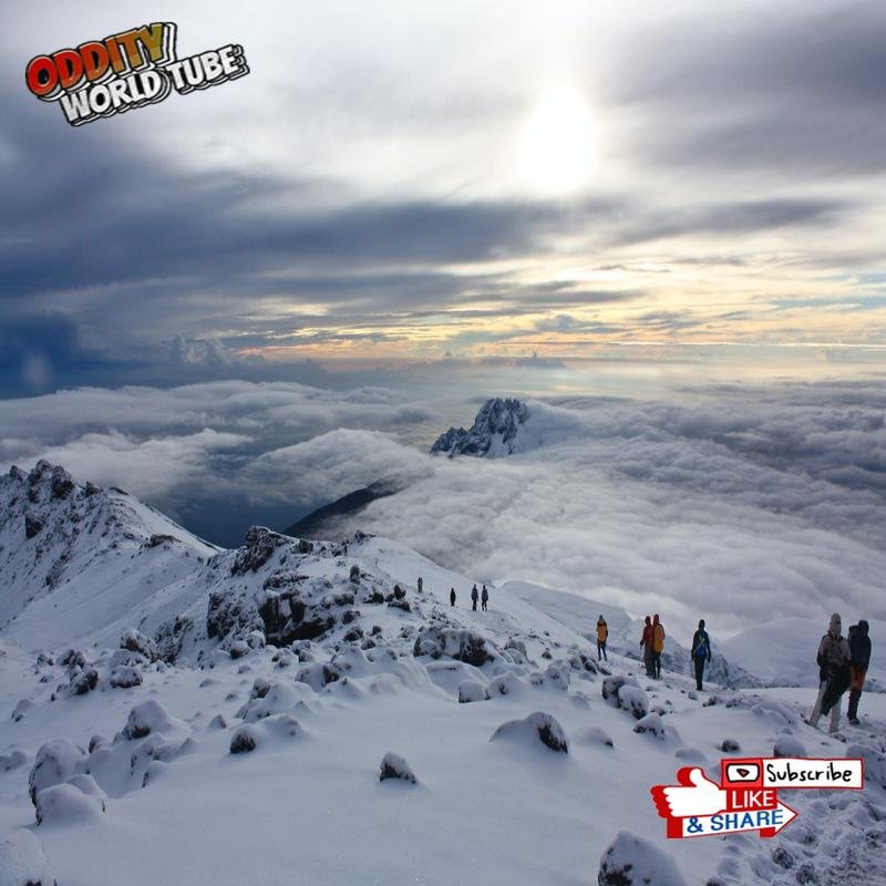 Michael Peña's Ascent of Kilimanjaro: An Extraordinary Journey - Image 3
