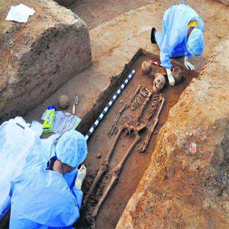 Giants: Myth or Reality? Investigating an Ancient Enigma. - Image 3