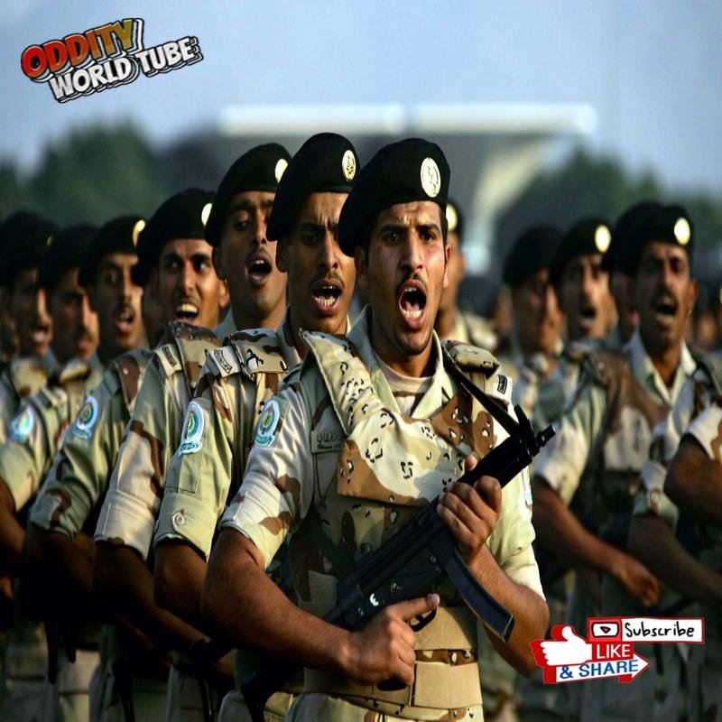 The Disappearance of an Entire Army: Unraveling the Mystery of the Dhi Qar Army in the Desert. - Image 3