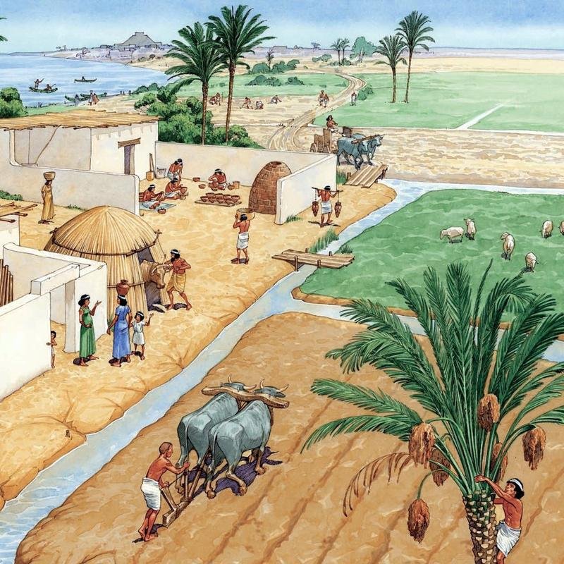 Unearthing the Past: Remarkable Archaeological Discoveries in Our Ancient City. - Image 3