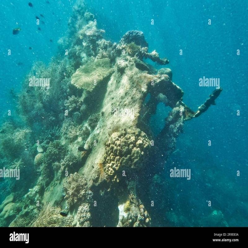 The 1994 Indonesian Ferry Disaster: A Case Study in Maritime Tragedy - Image 1