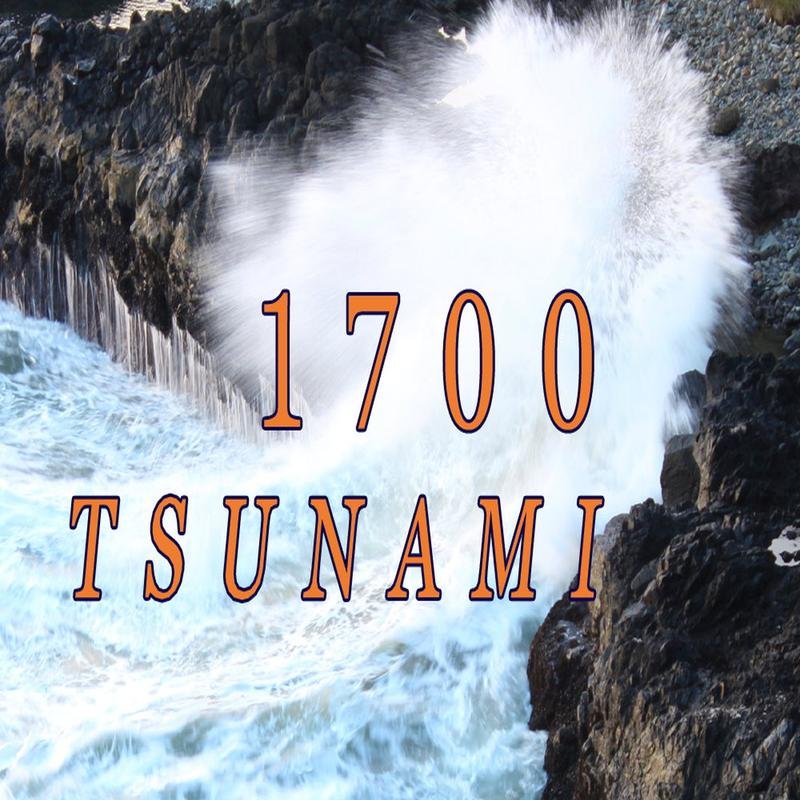 The North American Sushi Supply Chain: Vulnerability Exposed Following the Japanese Tsunami - Image 1