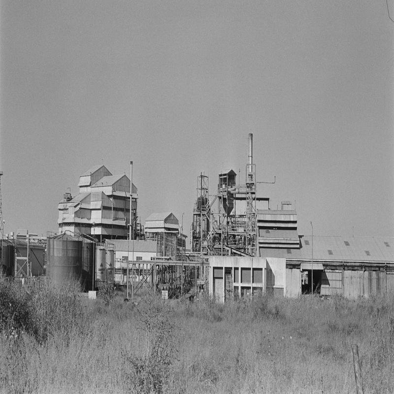 The Lothia Disaster: Newly Revealed Details Underscore the Severity of the Indian Explosion. - Image 1