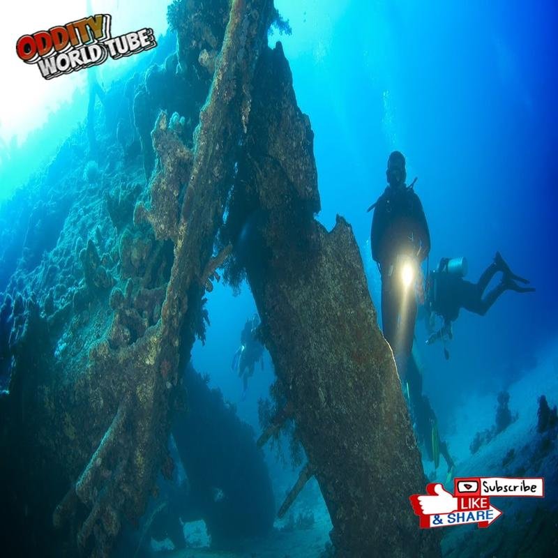 The 1968 Sinking of the *Columbus*: A Case Study of Mechanical Failures - Image 1