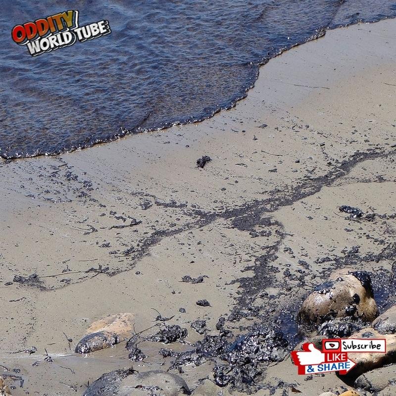 The 1993 Alber Oil Spill: A Case Study in Environmental Catastrophe - Image 1