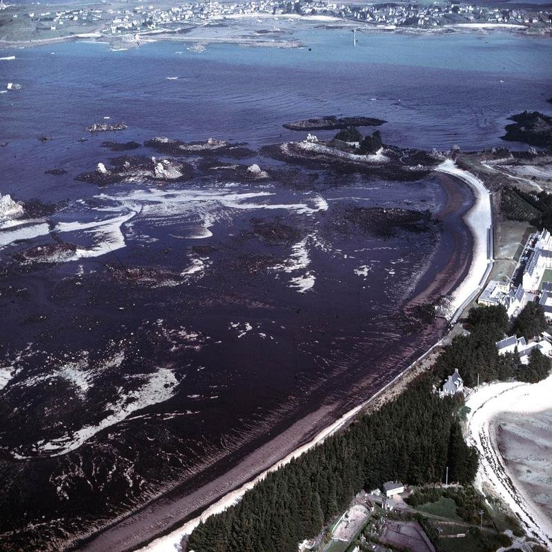 The Oléron Oil Spill: Impacts and Consequences for Coastal Environments - Image 1