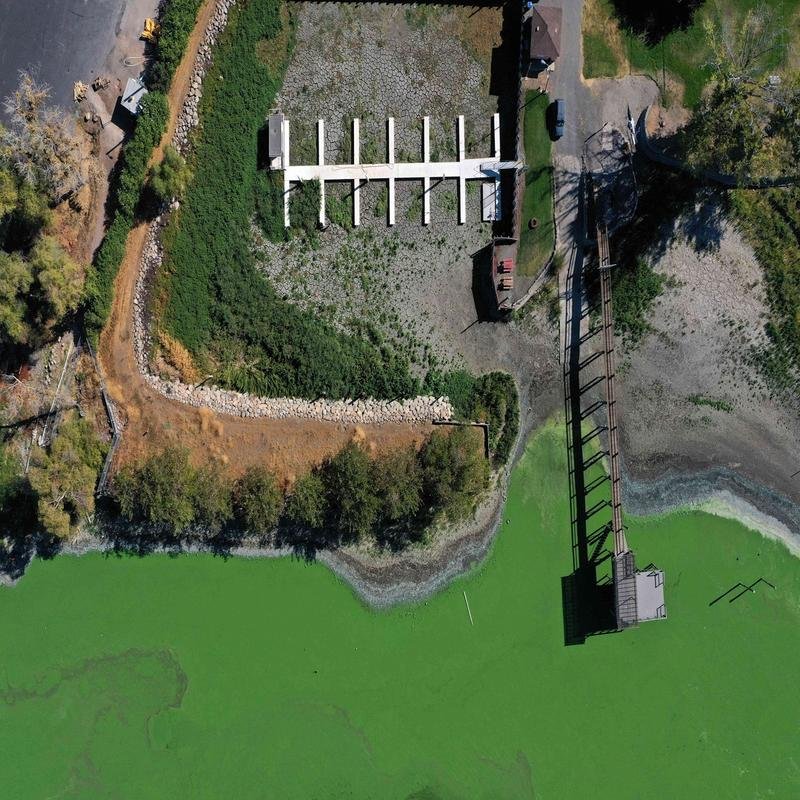 The Subterranean Effects of Mercury Contamination on California's Wildlife - Image 1