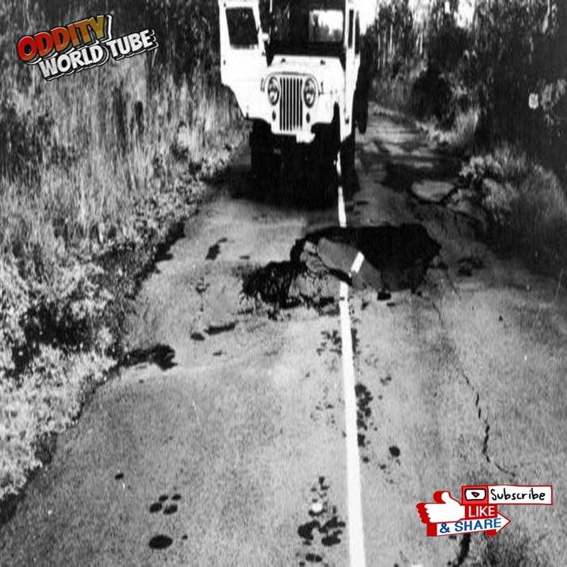 The 1975 Hawaii Earthquake: Assessing the Submerged Tsunami's Impact on Hilo - Image 1