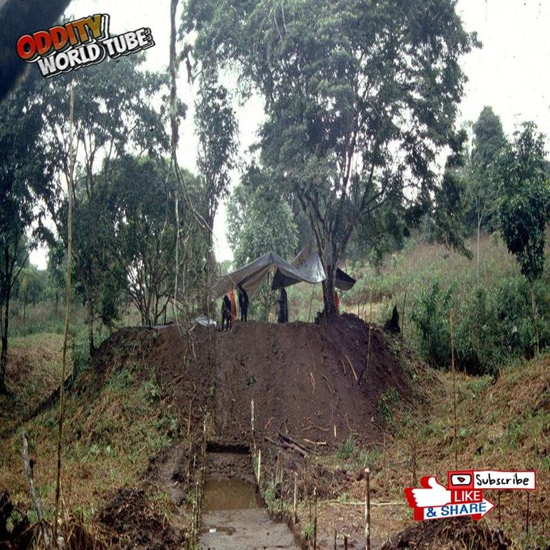 Elba: An Investigation into Amazon's Lost City - Image 1