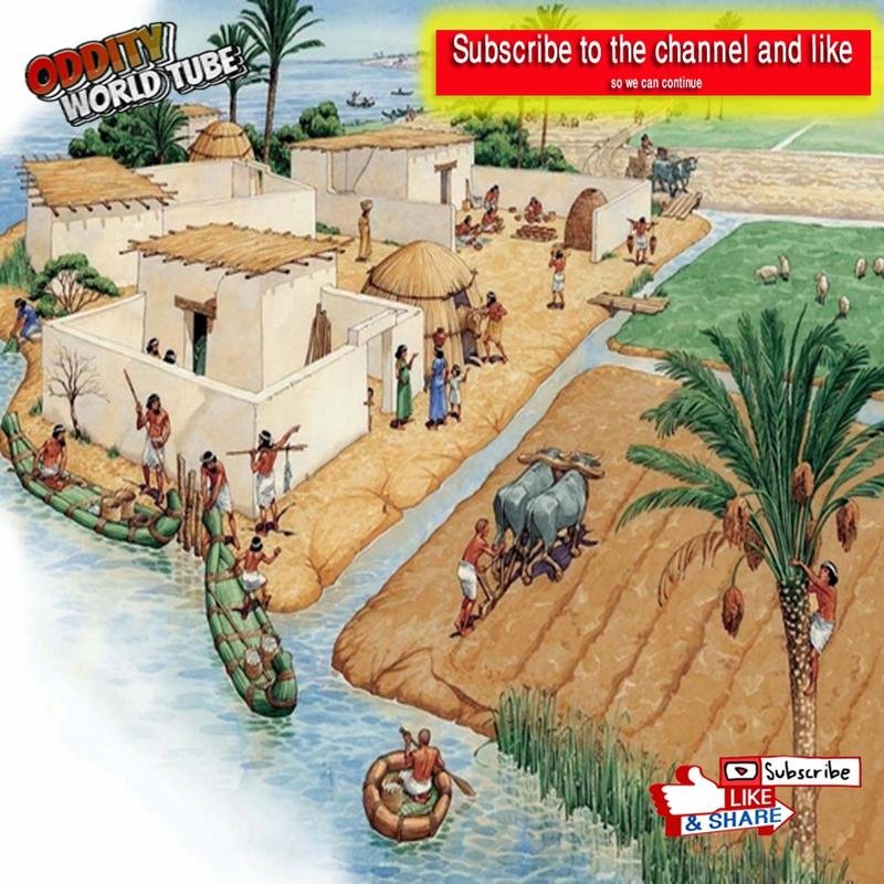 Lost Agricultural Practices of Ancient Civilizations: A Critical Reassessment - Image 1