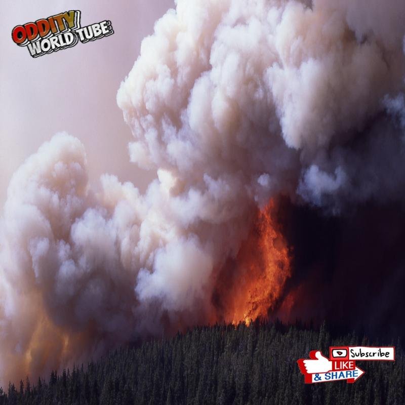 The 1988 Yellowstone Fires: Notable Facts - Image 2