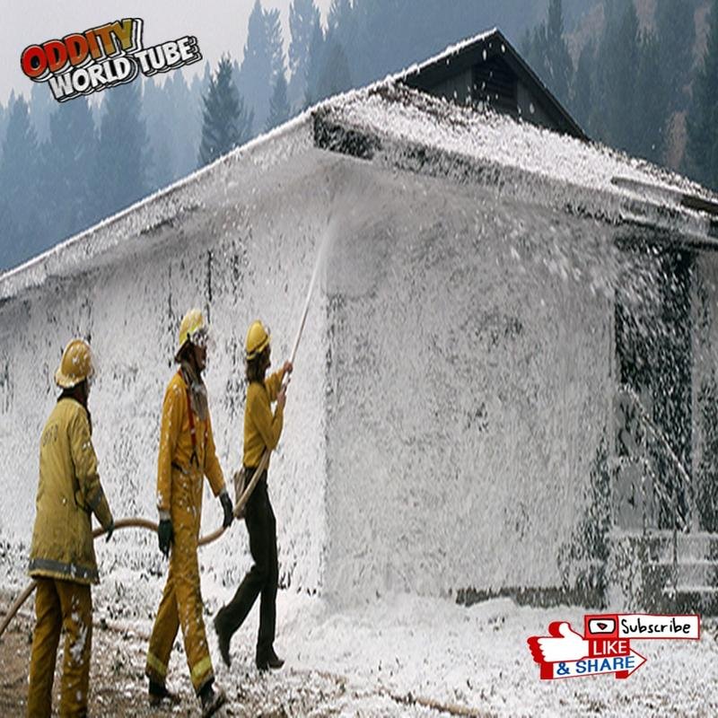 The 1988 Yellowstone Fires: Notable Facts - Image 3