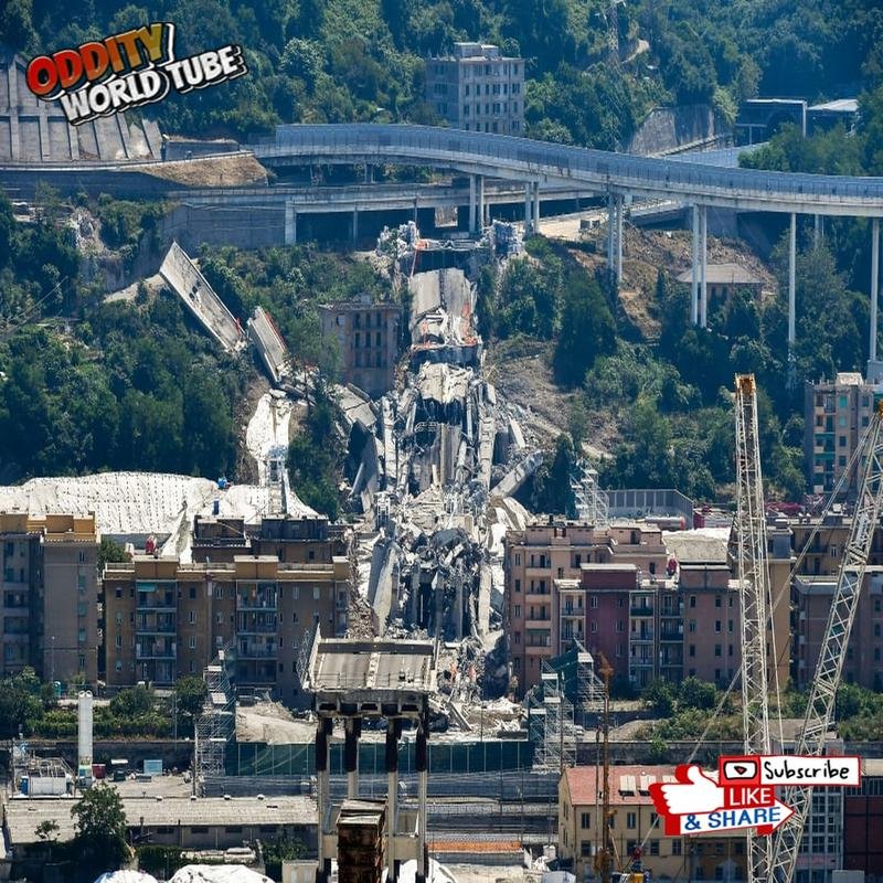 Analysis of the Genoa Bridge Collapse: Causal Factors of the Disaster - Image 2