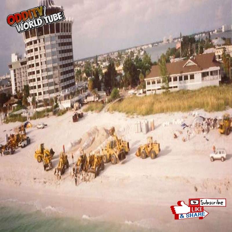 The 1993 Alber Oil Spill: A Case Study in Environmental Catastrophe - Image 3