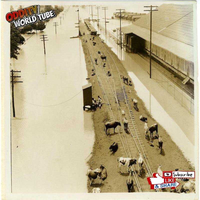 The 1927 Mississippi River Flood: Investigating the Causes and Impacts of a Catastrophic Inundation - Image 3