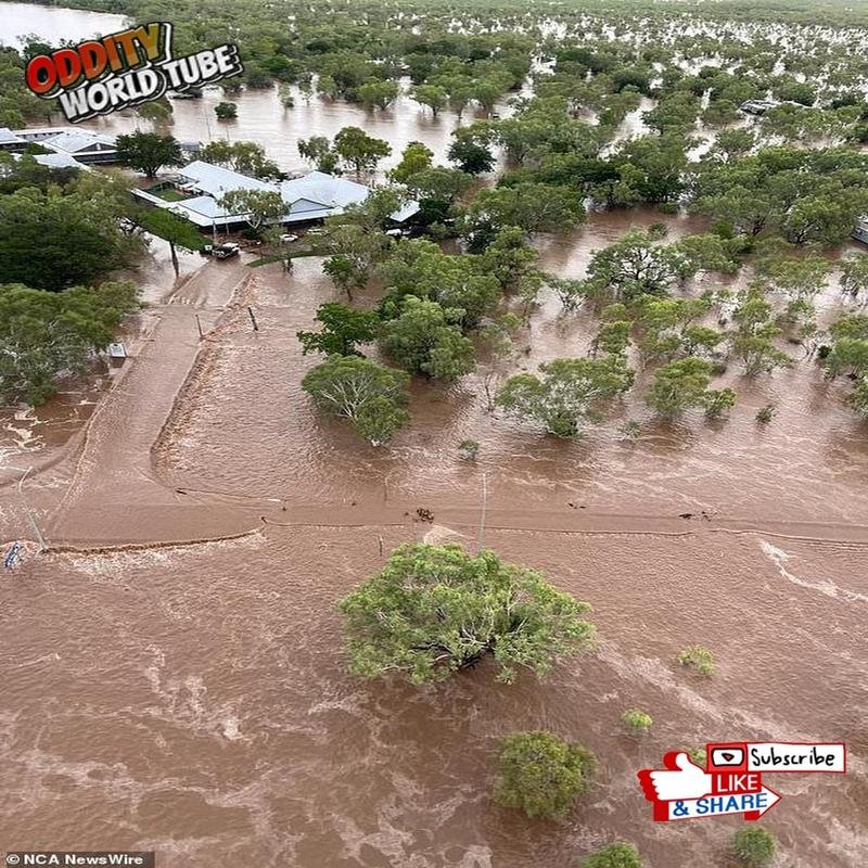 The 1909 Fitzroy Cyclone: A Neglected Australian Catastrophe - Image 2