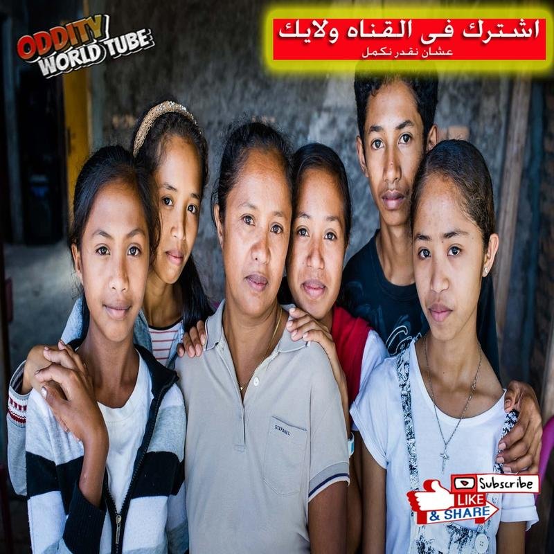 The Demise of Timor's Indigenous Population: An Extraterrestrial Hypothesis? - Image 2
