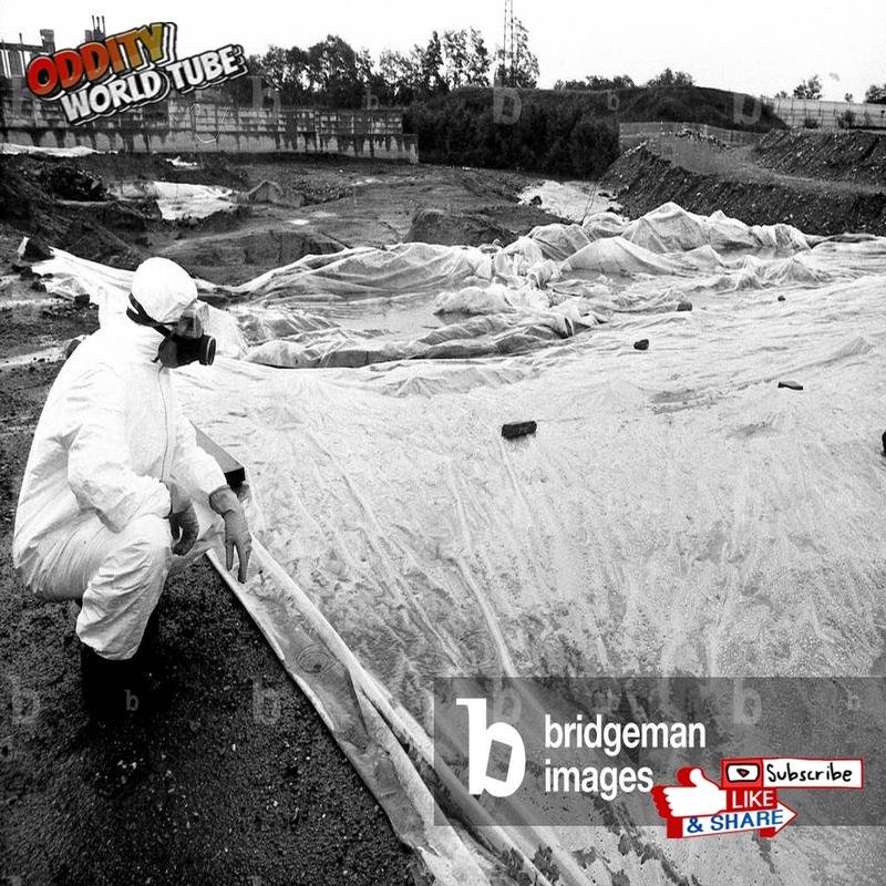 The Seveso Disaster: A Case Study in Silent Pollution - Image 3