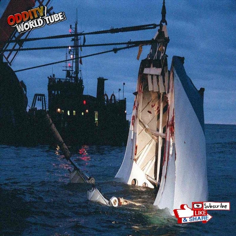 The Dona Paz Disaster: Uncovering a Tragic Truth. Over 4,000 Casualties. - Image 3