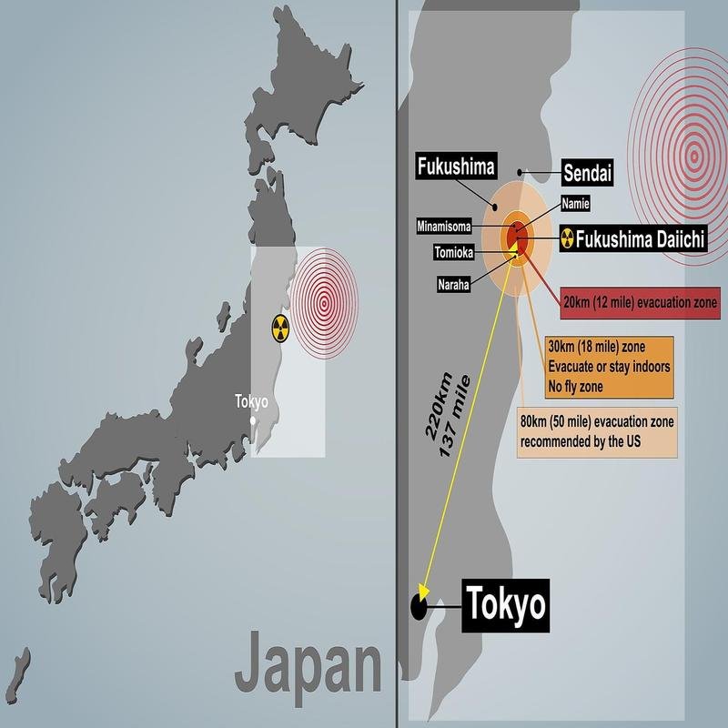 The Kyshtym Disaster: A Concealed Soviet Nuclear Catastrophe - Image 2